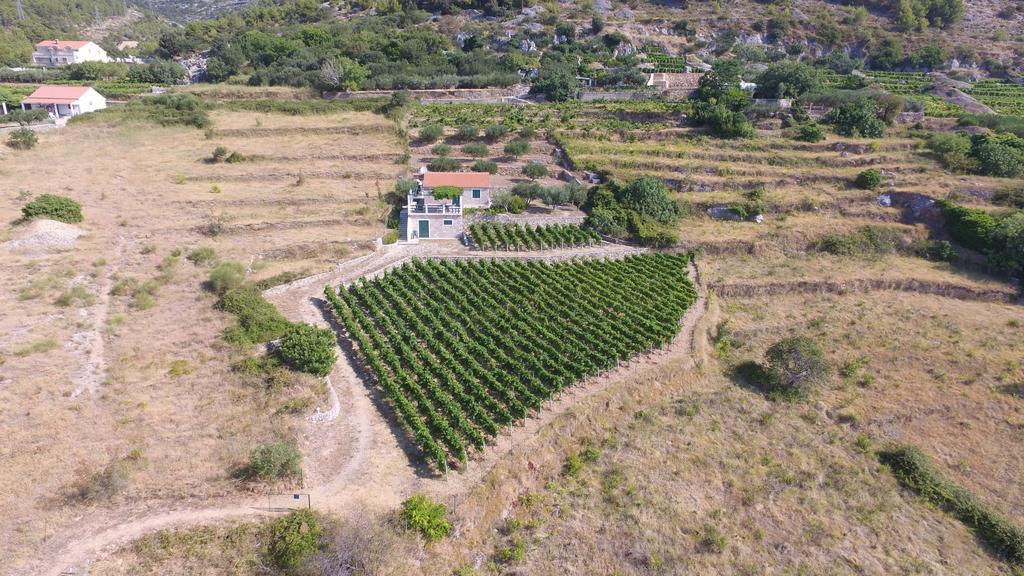 Holiday Home Vineyard House Bol Exterior photo