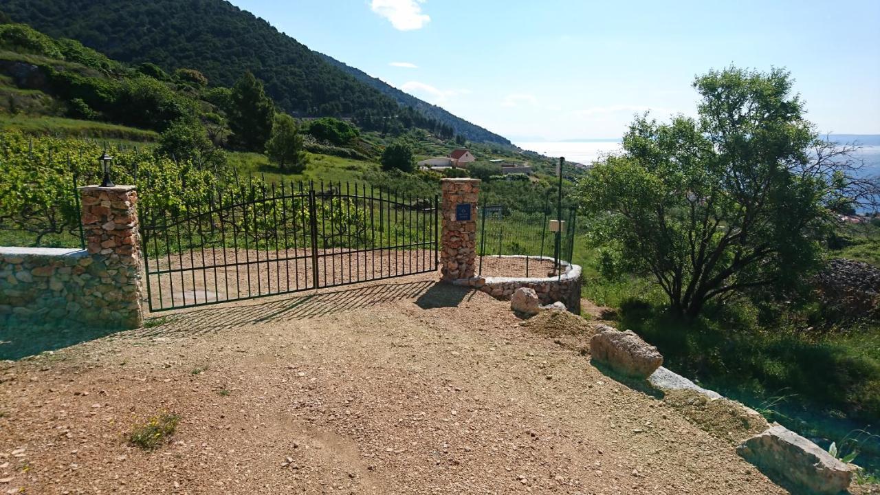 Holiday Home Vineyard House Bol Exterior photo