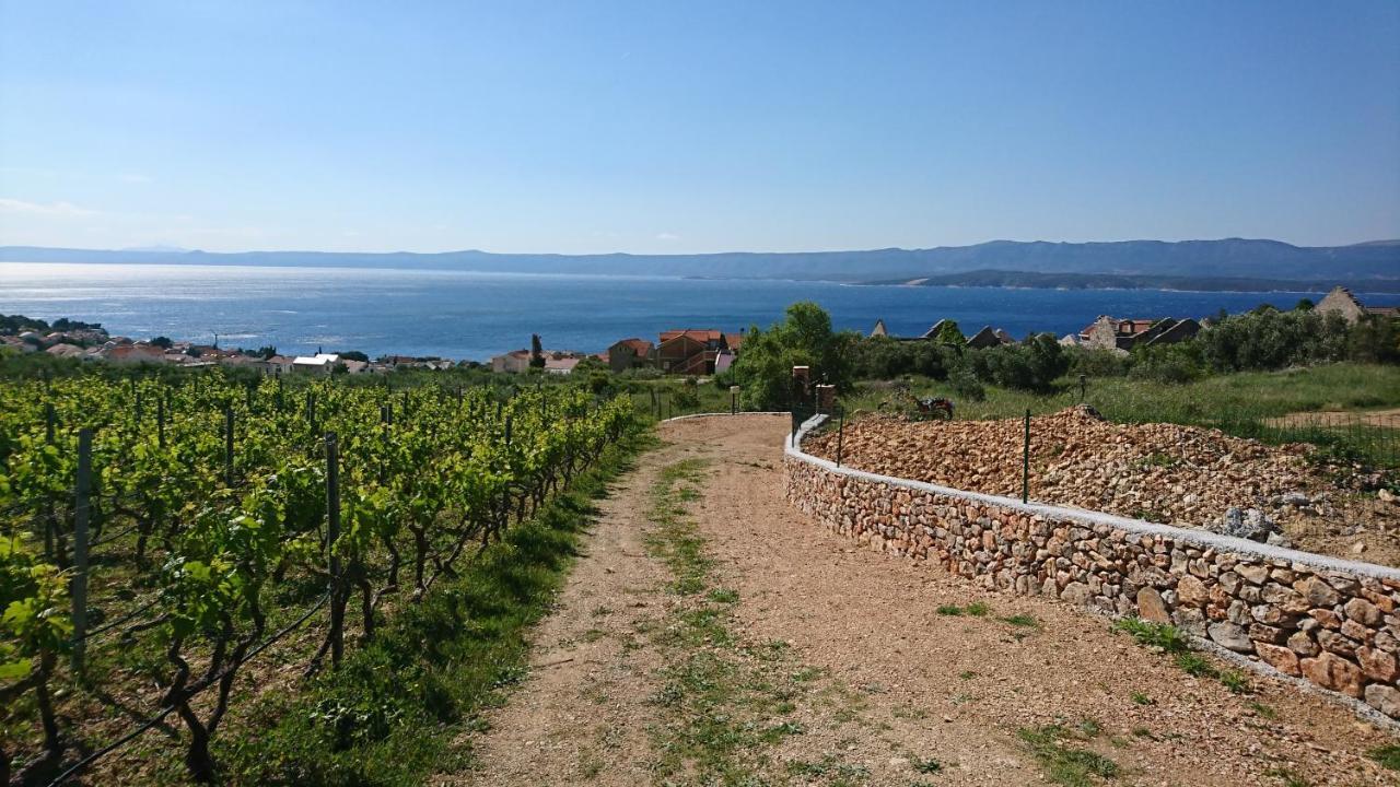 Holiday Home Vineyard House Bol Exterior photo