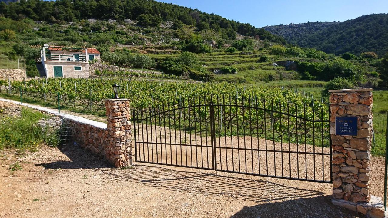 Holiday Home Vineyard House Bol Exterior photo